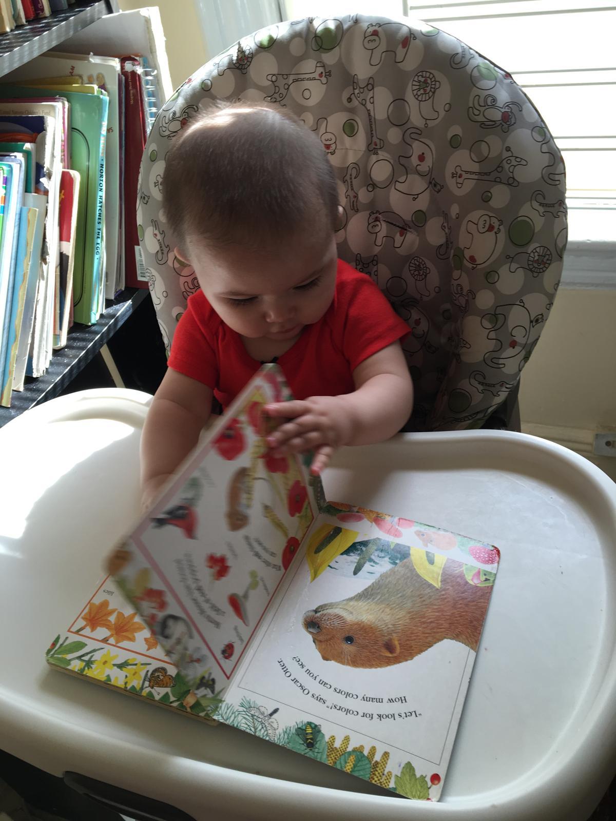 Gifted and Talented Infant Program (Ages 0 - 2)